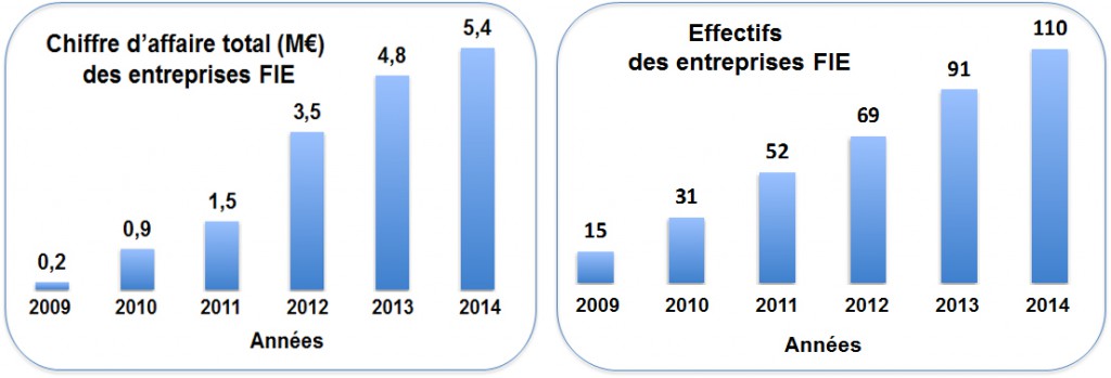 FIE Statistiques 2014